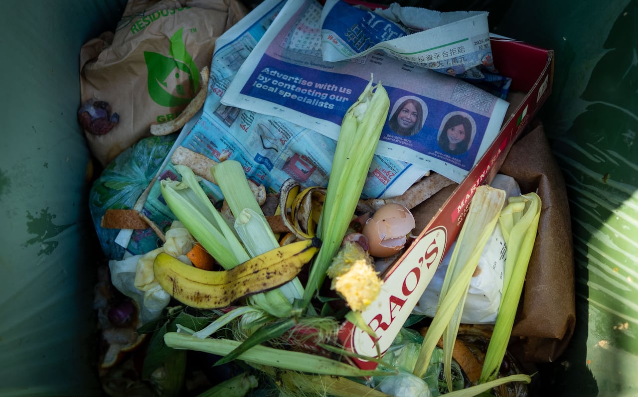 Image 5: The inside of a large compost green bin.
