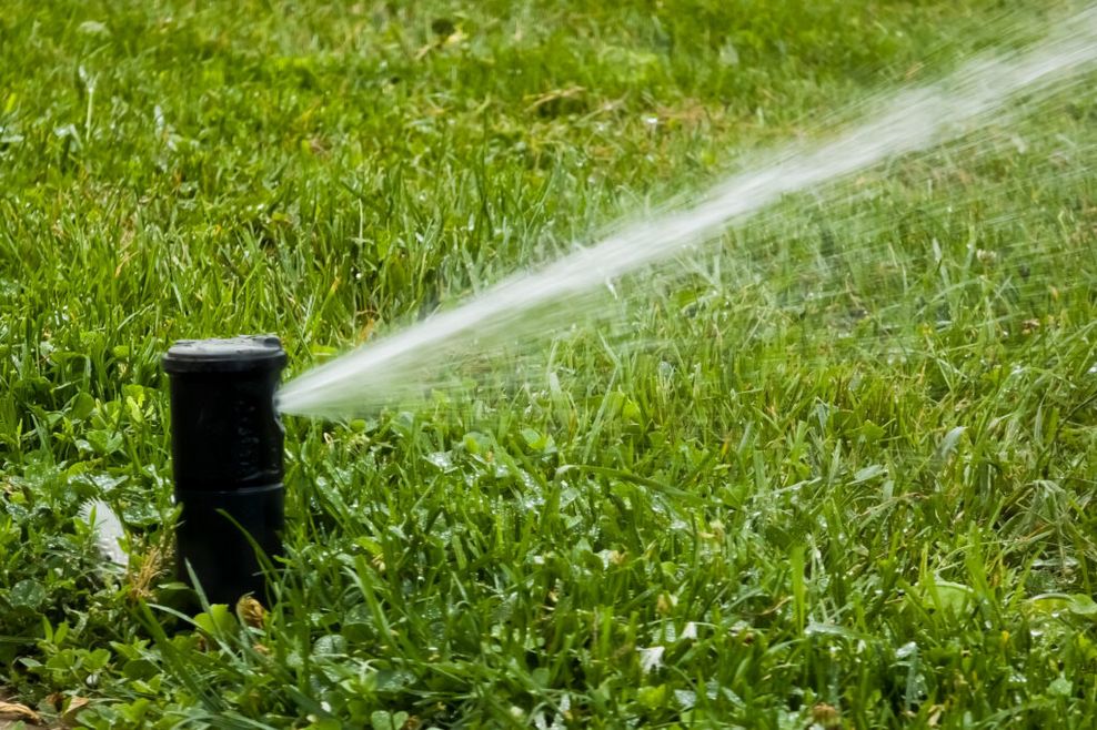 Image 14: water restrictions